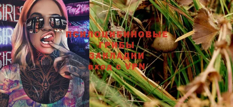 Псилоцибиновые грибы MAGIC MUSHROOMS  где купить наркоту  Кунгур 